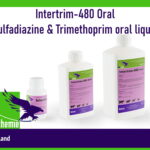 Intertrim-480 Oral Sulfadiazine & Trimethoprim oral liquid