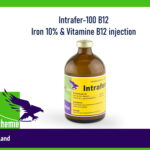 Intrafer-100 B12 Iron 10% & Vitamine B12 injection
