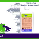 Introvit A+ Oral Vitamins & Amino acids oral liquid