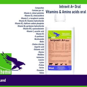 Introvit A+ Oral Vitamins & Amino acids oral liquid