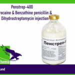 Penstrep-400-LA-Procaine-Benzathine-penicillin-Dihydrostreptomycin-injection