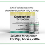 cloprostenol injection