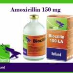 Amoxicillin basis 150 mg biocillin