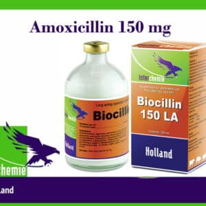 Amoxicillin basis 150 mg biocillin