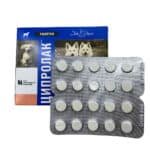 Ciprofloxacin for Dogs and Cats