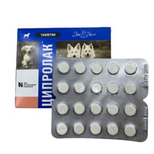 Ciprofloxacin for Dogs and Cats