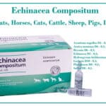 Echinacea Compositum solution for sale