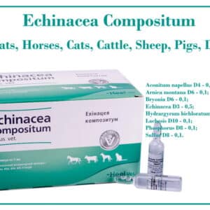 Echinacea Compositum solution for sale