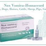 Nux Vomica-Homaccord