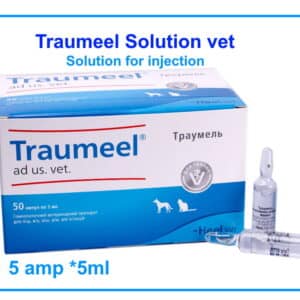 Traumeel Solution for injection buy online store