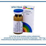 amoxicillin (in the form of amoxicillin trihydrate) - 150.0 mg betamethasone dipropionate (in terms of betamethasone) - 0.5 mg