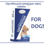 ciprofloxacin 50 mg for dogs and cats