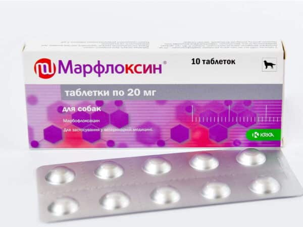 marbofloxacin Marbocyl Zeniquin Marboquin 20 mg tablets for cats and dogs online