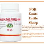 oxyclozanide - 600 mg, abamectin