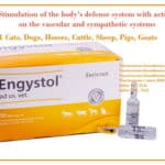 stimulation of the body's defense system with action on the vascular and sympathetic systems