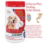 Gelacan Plus Darling restoration of joint tissues, strengthening of bones, ligaments and tendons dogs
