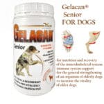 Gelacan Senior collagen