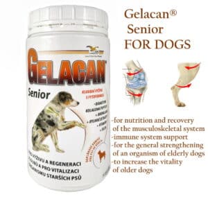 Gelacan Senior collagen