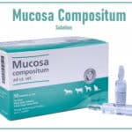 Mucosa Compositum Solution FOR Injection