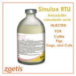Amoxicillin, clavulanic acid clavulanate potassium Solution for injection
