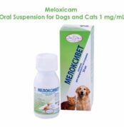 Meloxicam 1 mg mL (Metacam, Meloxidyl analog) Oral Suspension