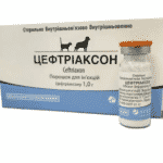 Ceftriaxone