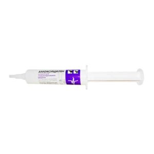 amoxicillin suspension