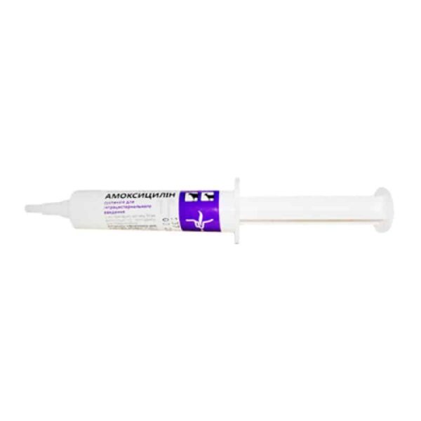 amoxicillin suspension