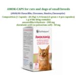 ANALOG Clavacillin, Clavamox, Sinulox,Clavaseptin