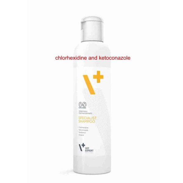 chlorhexidine ketoconazole