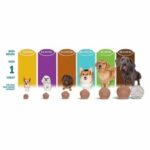 simparica-trio buy online
