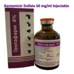 Gentamicin Sulfate 40 mg ml Injectable