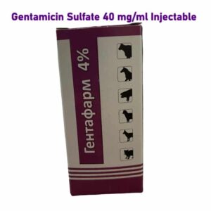 Gentamicin Sulfate 40 mg ml Injectable 22