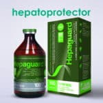 hepaprotector