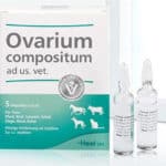 Ovarium compositum 25ml (5ml*5pcs)