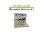 doxycycline 50 mg for dogs