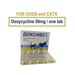 doxycycline 50 mg for dogs