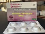 amoxicillin Clavulanic Acid buy online