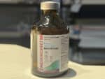 MELOXICAM INJECTION