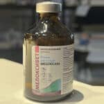 MELOXICAM INJECTION