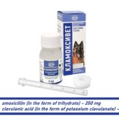 amoxicillin clavulanic acid Clamovet