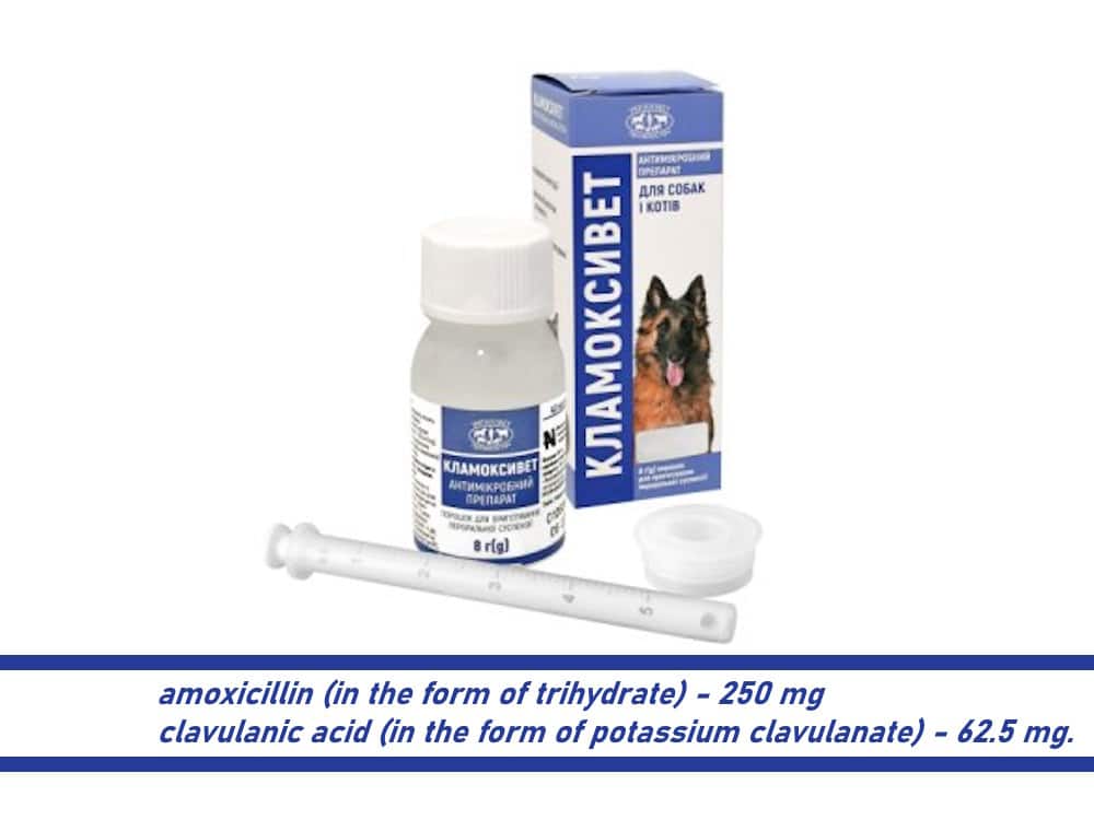 amoxicillin clavulanic acid Clamovet amoxicillin clavulanic acid Clamovet